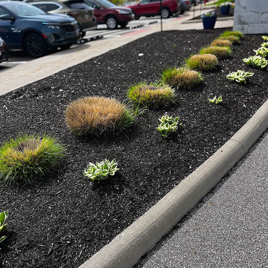 A large mulch bed filled with plants at Vitalia Rockside.